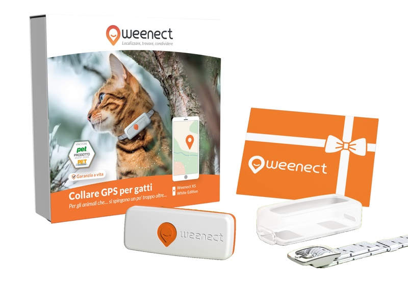Eshop-Main Image-Cats-XS-Gift Card-IT-White