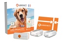 Eshop-Main Image-Dogs-XS-Gift Card-FR-White