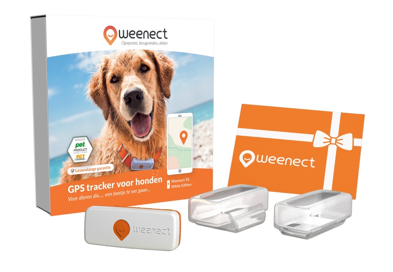 Eshop-Main Image-Dogs-XS-Gift Card-NL-White