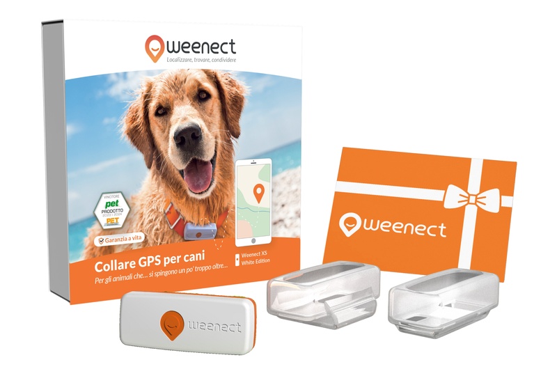 Eshop-Main Image-Dogs-XS-Gift Card-IT-White