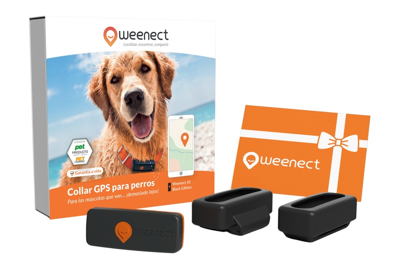 Eshop-Main Image-Dogs-XS-Gift Card-ES-Black