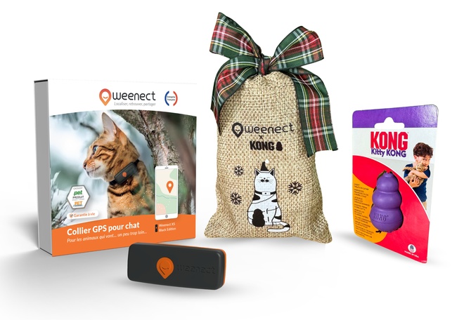 Coffret de Noël chat