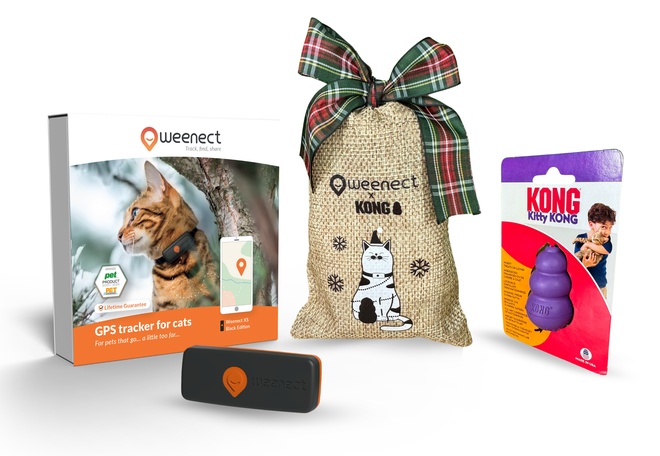 Coffret de Noël chat