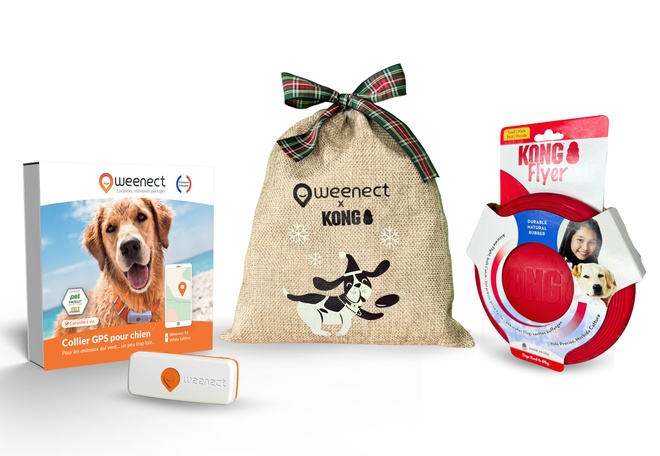 Coffret de Noël chien