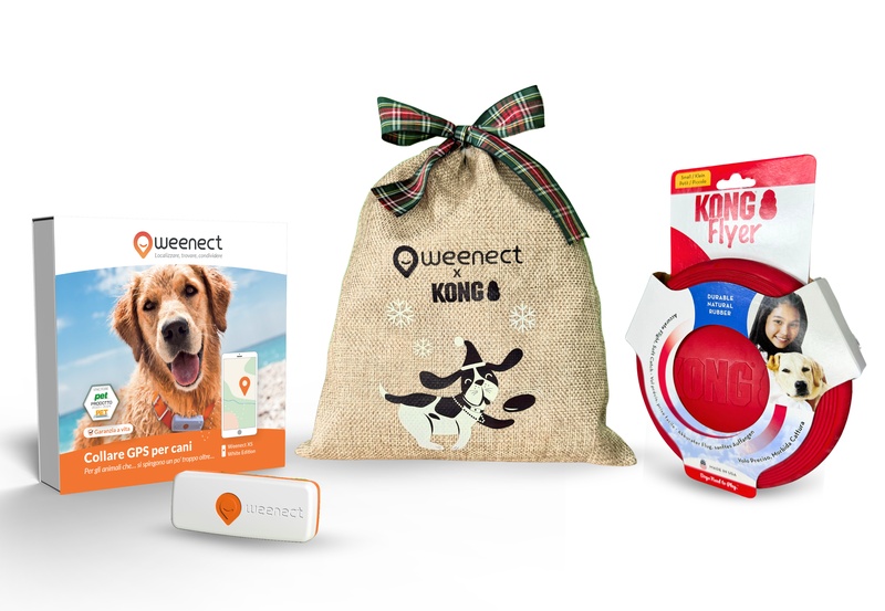 Eshop Main Image Xmas Dogs XS IT White
