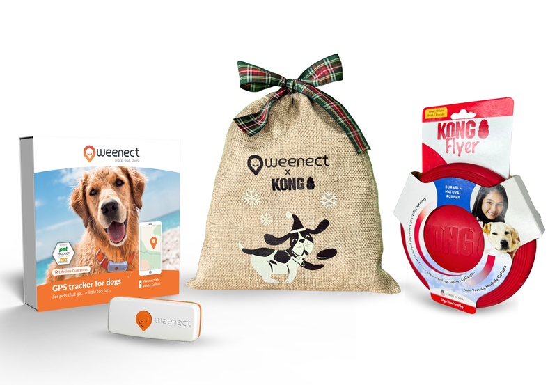 Eshop Main Image Xmas Dogs XS UK White