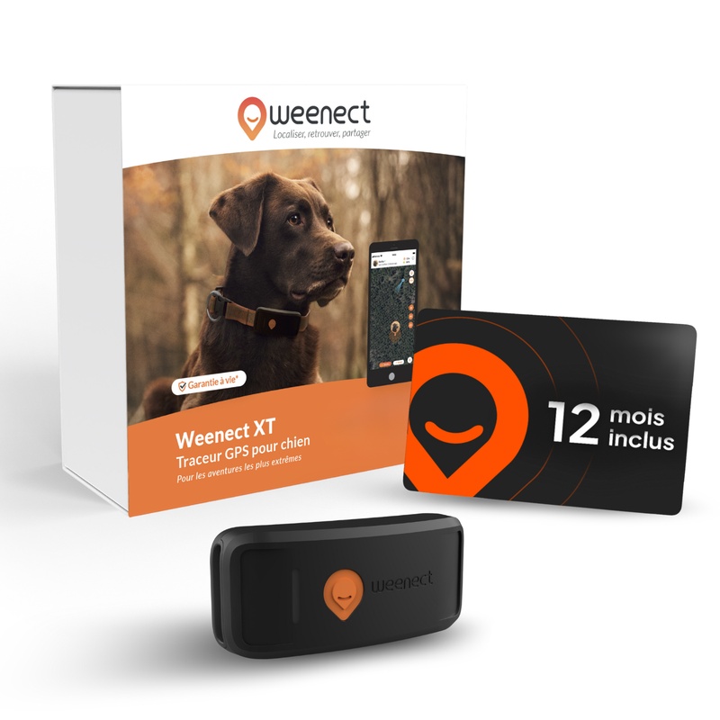 FR-Main-XT-Without-Bundle-Amz