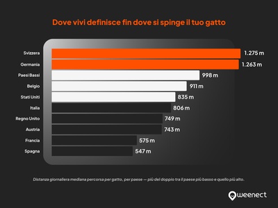 Dove vivi definisce fin dove si spinge il tuo gatto