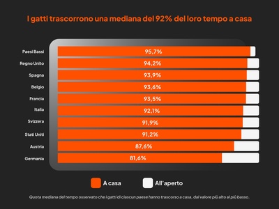 I gatti trascorrono una mediana del 92% del loro tempo a casa