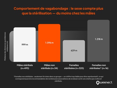 comportement de vagabondage