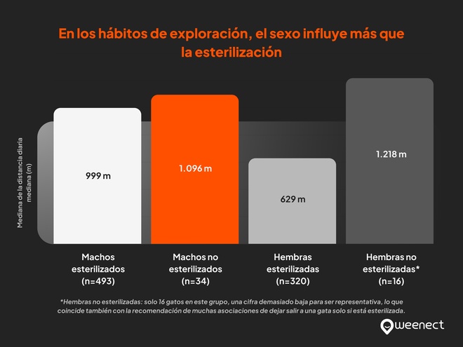 En los hábitos de exploración, el sexo influye más que la esterilización
