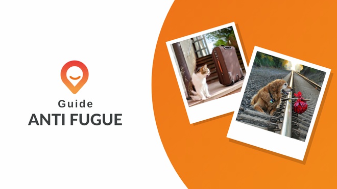 guide anti fugue thumbnail