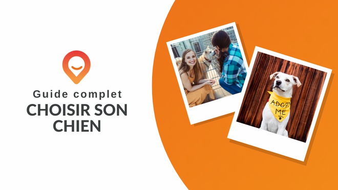 guide complet pour choisir son chien thumbnail