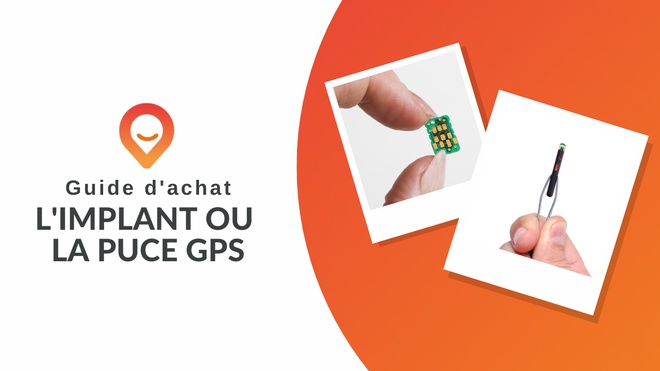 L'implant d'une puce GPS pour chat : entre info et intox