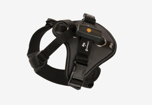 Harnais pour chien JK9 Longwalk Light avec pochette pour traceur