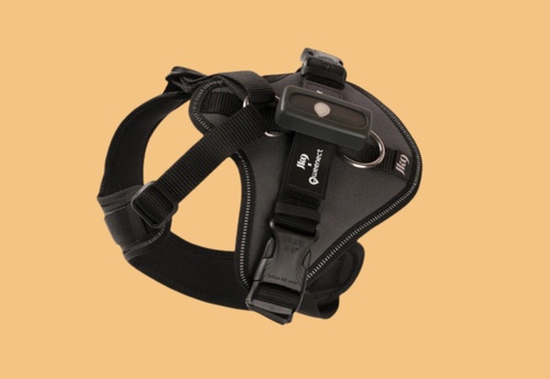 Harnais JK9 Noir XL