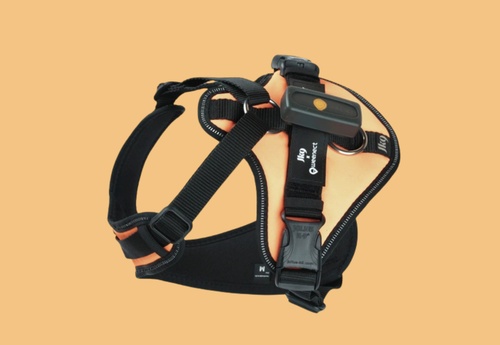Harnais JK9 Orange M