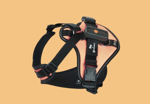 Harnais JK9 Orange S