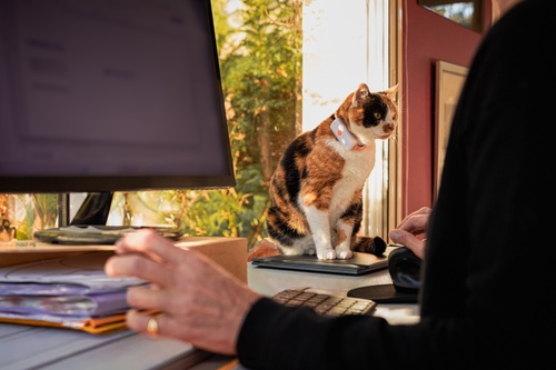 Gli abbonamenti Weenect