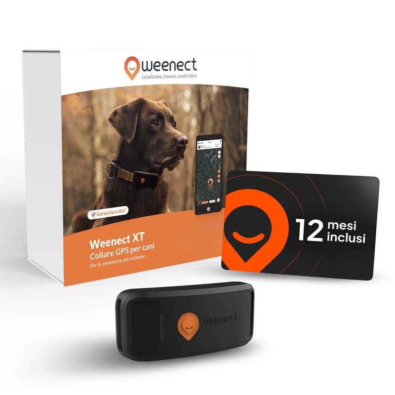 IT-Main-XT-Without-Bundle-Amz