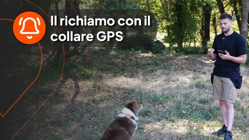 nico with dog - video 5 (it)