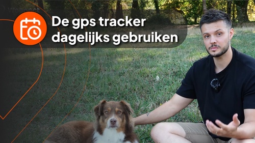 nico with dog - video 6 (it)