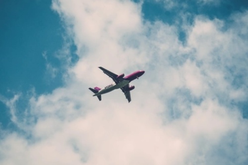 Identification-6 (1)