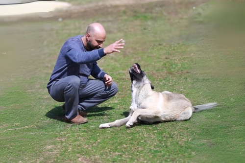 Identification-7 (1)