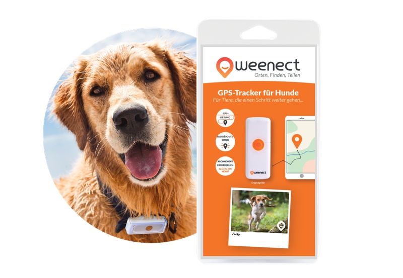 Weenect – für Hunde | Onlineshop