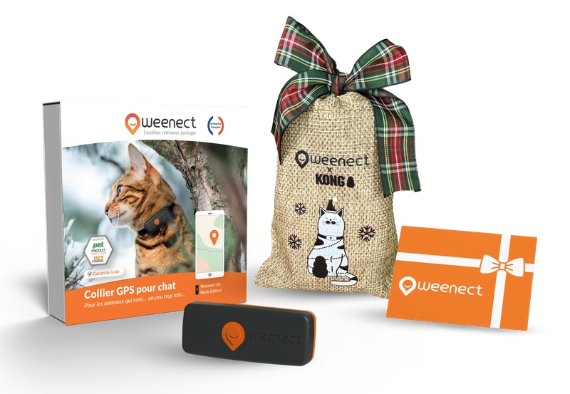 Main-Eshop-XS-Cats-Black-Bundle-Xmas-FR