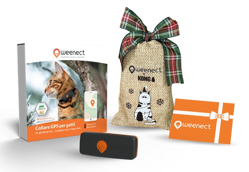 Main-Eshop-XS-Cats-Black-Bundle-Xmas-IT