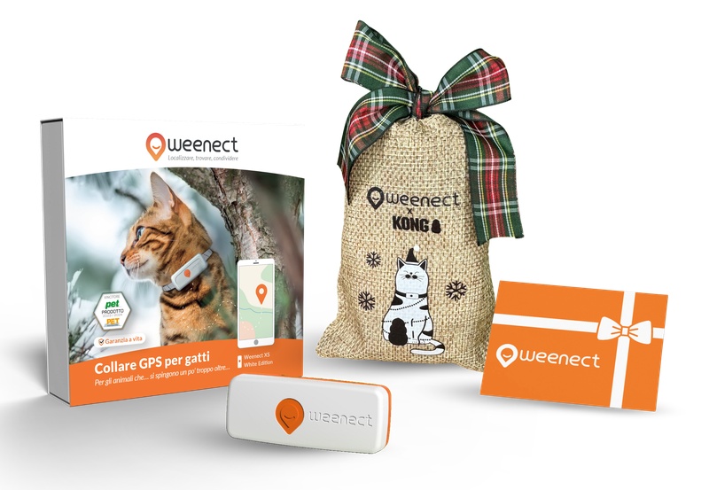 Main-Eshop-XS-Cats-White-Bundle-Xmas-IT