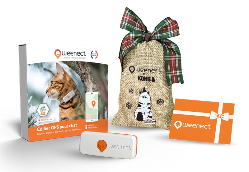 Main-Eshop-XS-Cats-White-Bundle-Xmas-FR