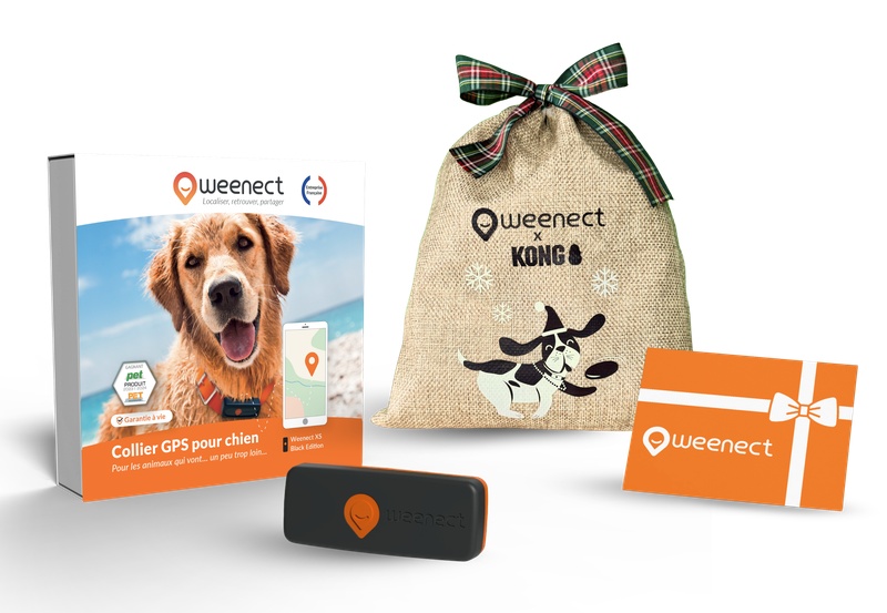 Main-Eshop-XS-Dogs-Black-Bundle-Xmas-FR