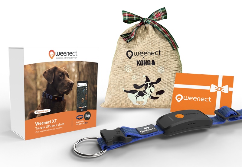 Main-Eshop-XT-With-Bundle-Xmas-Blue-FR