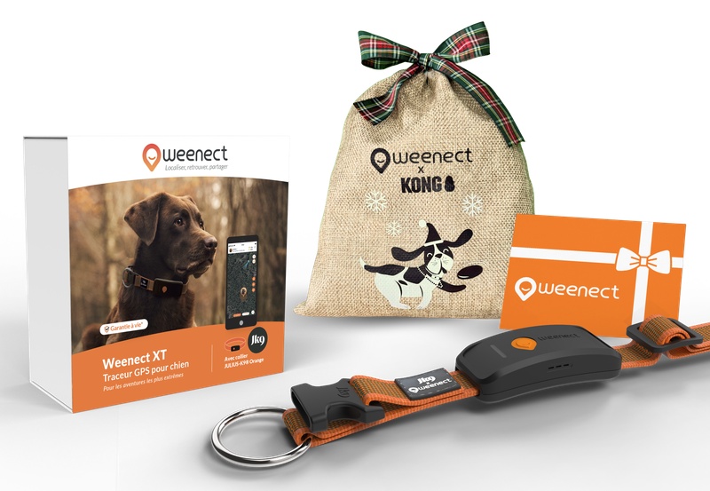 Main-Eshop-XT-With-Bundle-Xmas-Orange-FR