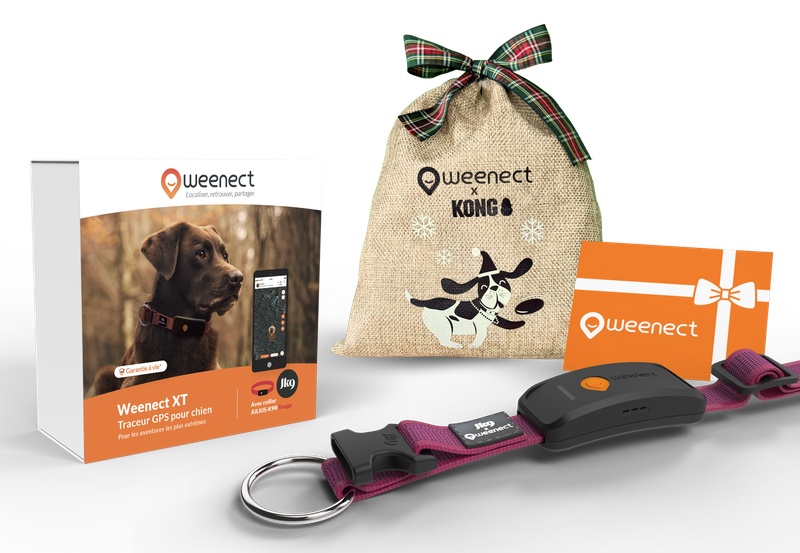 Main-Eshop-XT-With-Bundle-Xmas-Pink-FR