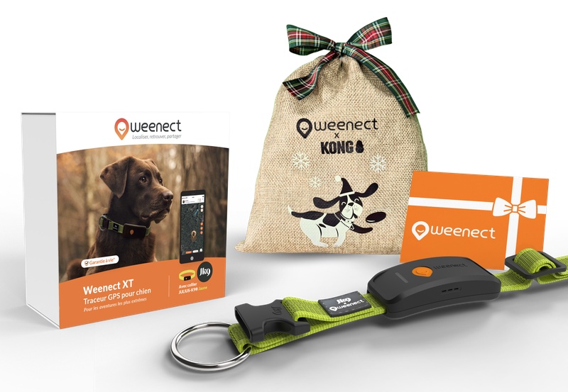 Main-Eshop-XT-With-Bundle-Xmas-Yellow-FR