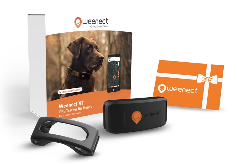 Main-Eshop-XT-Without-Bundle-DE