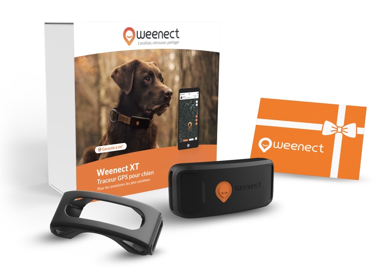 Main-Eshop-XT-Without-Bundle-FR