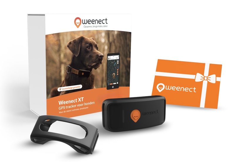 Main-Eshop-XT-Without-Bundle-NL