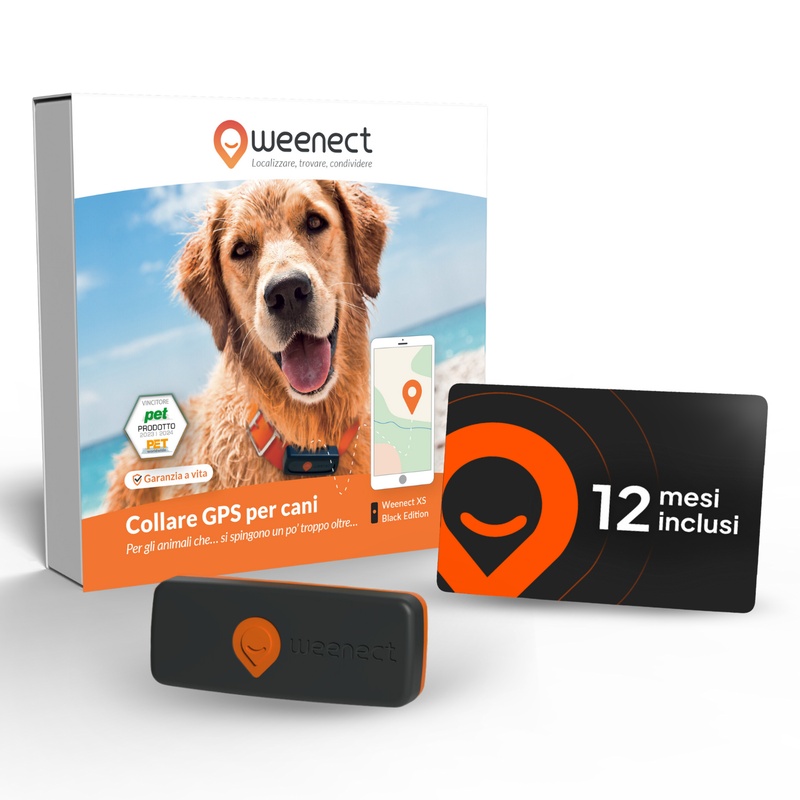 Main-XS-Dogs-Black-Amz-IT