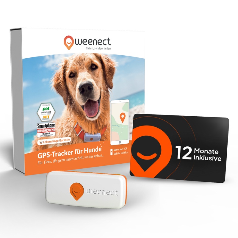 Main-XS-Dogs-White-Amz-DE