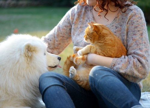 Main Page_Photo principale_Airtag (2294x1658)