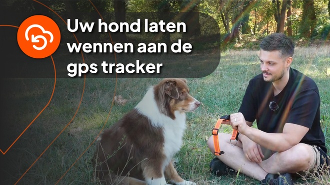 Nico 4 (NL)