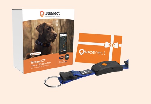 Weenect XT Pack | GPS dog collar | With Julius-K9 Blue Collar | 1 year subscription included