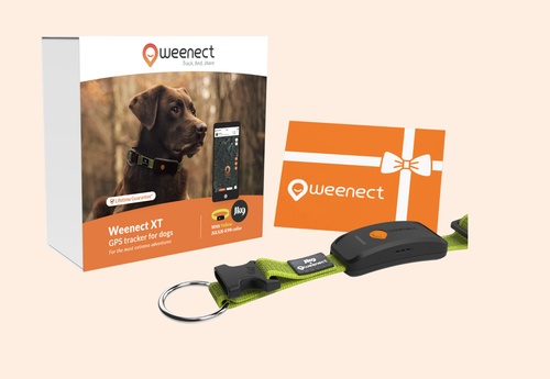 Weenect XT Pack | GPS dog collar | With Julius-K9 Yellow Collar | 1 year subscription included