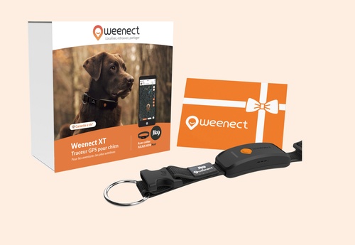 Weenect XT Pack | GPS dog collar | With Julius-K9 Black Collar | 1 year subscription included