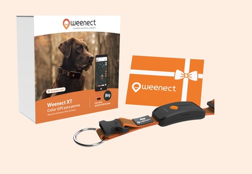 Weenect XT Pack | GPS dog collar | With Julius-K9 Orange Collar | 1 year subscription included