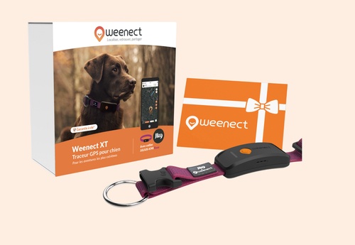Weenect XT Pack | GPS dog collar | With Julius-K9 Pink Collar | 1 year subscription included